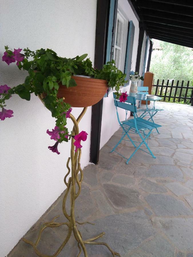 Sea & Sun House Nea Kallikrateia Exterior foto